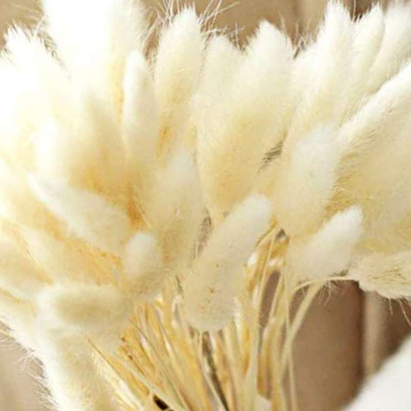 Dried Pampas Grass Decoration, 40pcs Pampas Grass Dried, No Scent
