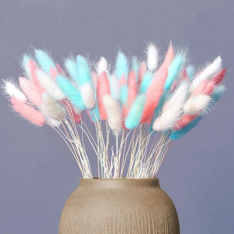 Dried Pampas Grass Decoration, 40pcs Pampas Grass Dried, No Scent