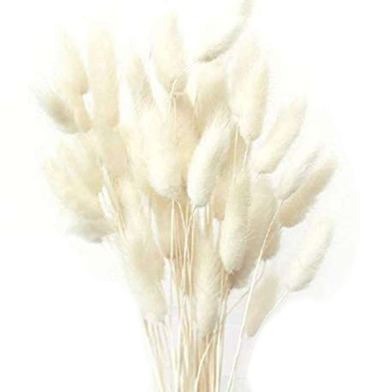 Dried Pampas Grass Decoration, 40pcs Pampas Grass Dried, No Scent