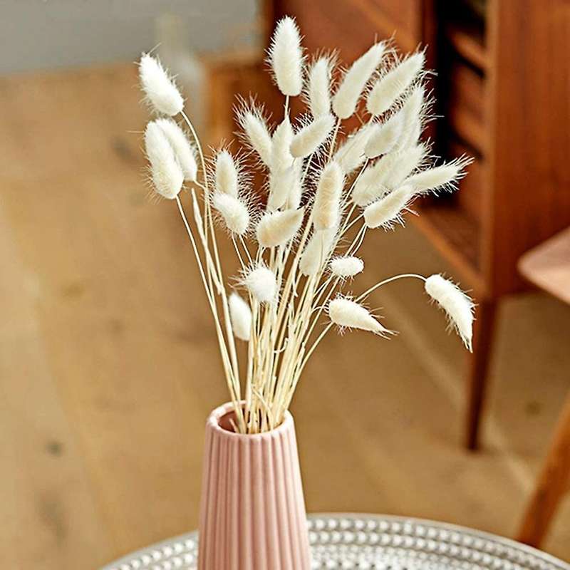Dried Pampas Grass Decoration, 40pcs Pampas Grass Dried, No Scent
