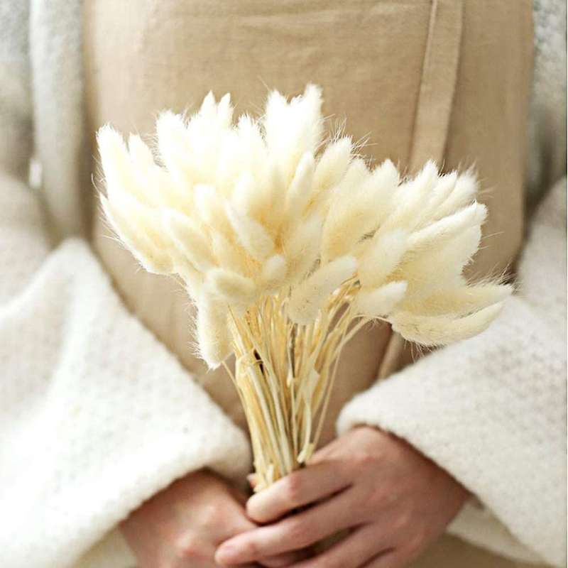 Dried Pampas Grass Decoration, 40pcs Pampas Grass Dried, No Scent