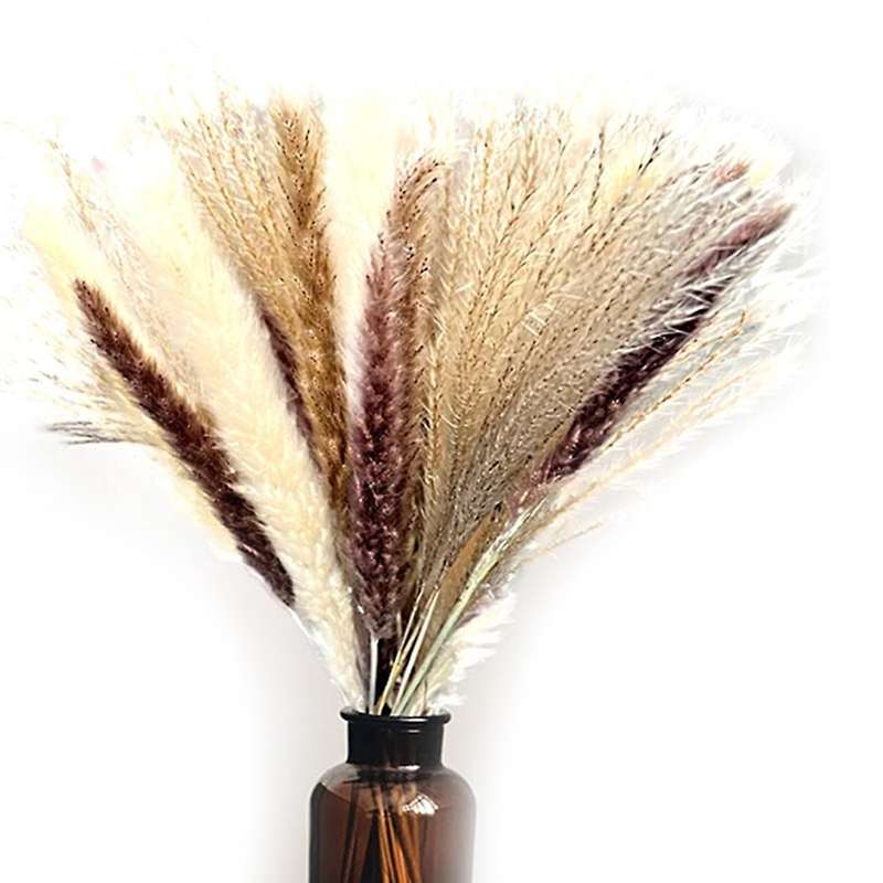 17inch Pampas Grass Total 60pcs, Boho Wedding Decor, Home Table Decor