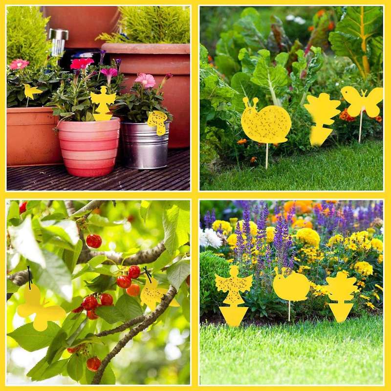60 Pieces Fly Trap, Fly Catcher, Fruit Fly Trap, Yellow Panels