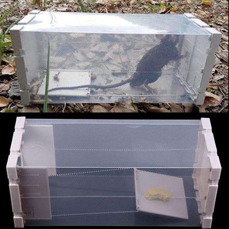 Rat Trap Humane Box Mice Cage Live Catch Mouse Control Bottle