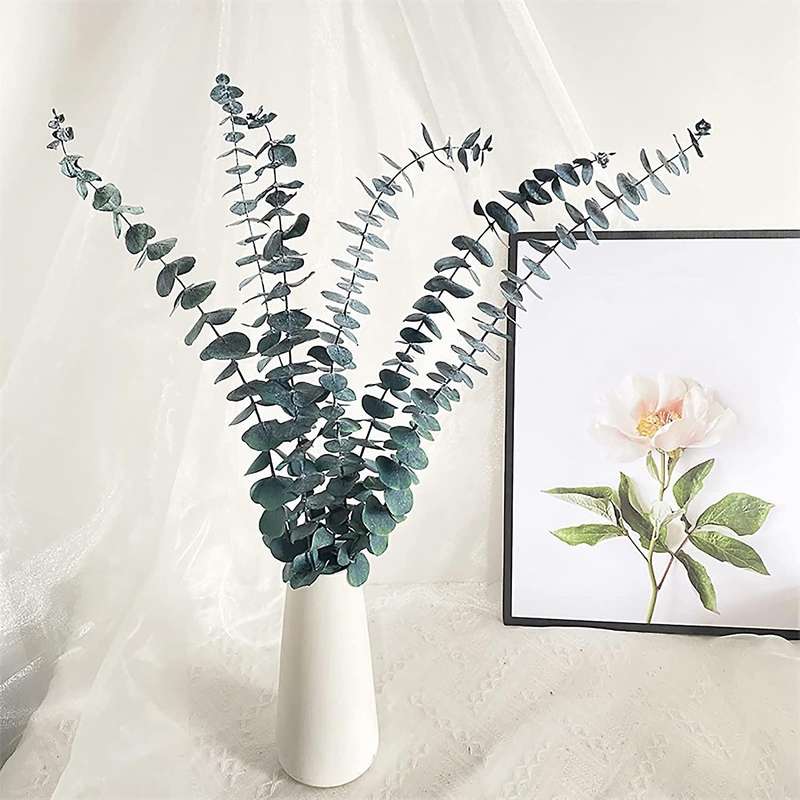 10pack Natural Dried Eucalyptus Bundle,preserved Fresh Eucalyptus