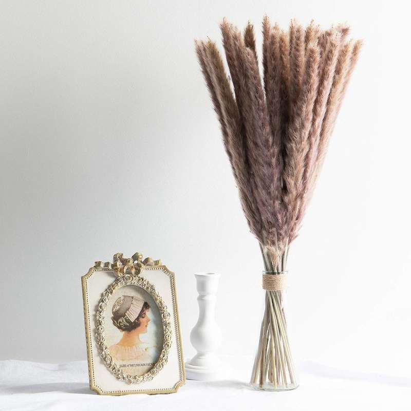 Pack Of 60 Pampas Grass 55 Cm for Interior Decorations Wedding Props