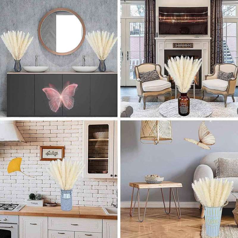 Pack Of 60 Pampas Grass 55 Cm for Interior Decorations Wedding Props
