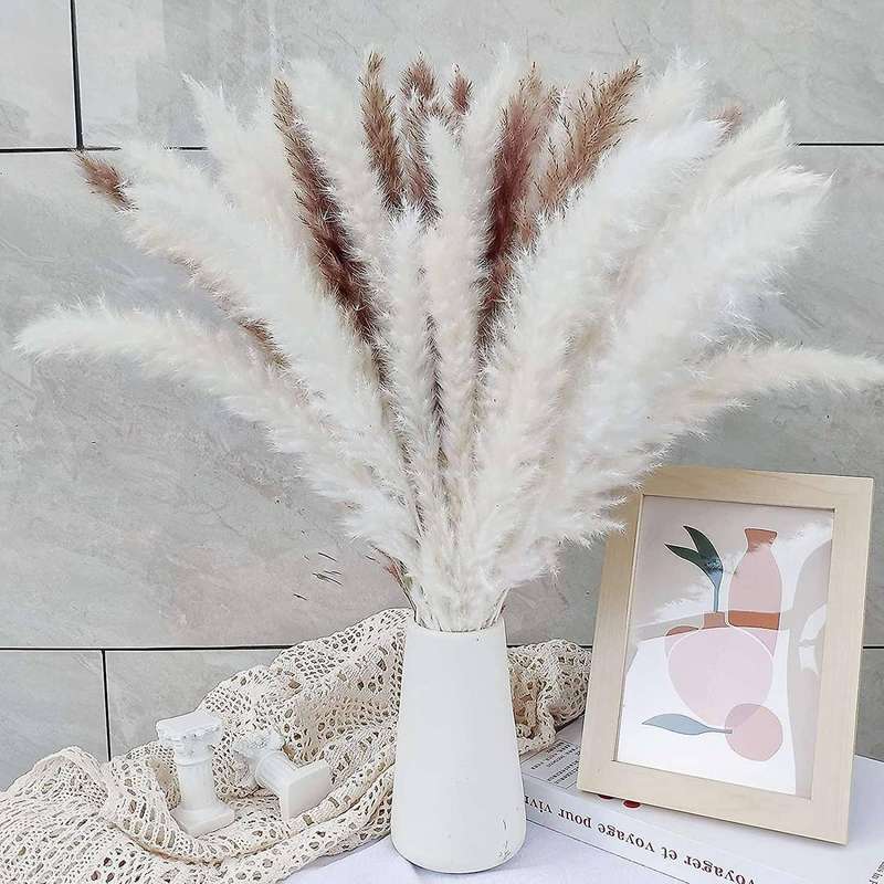 Pack Of 60 Pampas Grass 55 Cm for Interior Decorations Wedding Props
