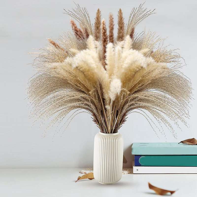 60pcs 17.72 Inch Dried White Pampas Grass&brown Dried Flower