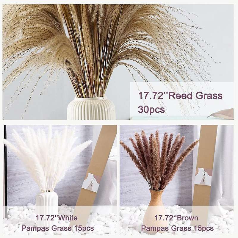 60pcs 17.72 Inch Dried White Pampas Grass&brown Dried Flower