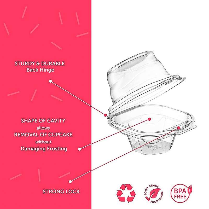 Cupcake Boxes, with Connected Airtight Deep Dome Lid Cupcake Box