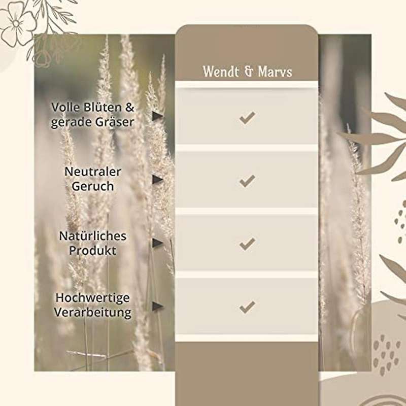 Elegant Dried Flowers with High-quality Pampas Grass Decoration