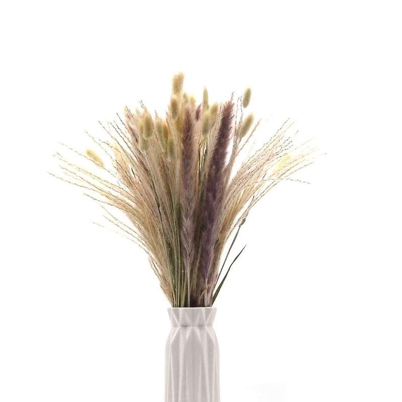 50pcs Pampas Grass Decoration, Pampas Grass, Small, Pampas Pampas
