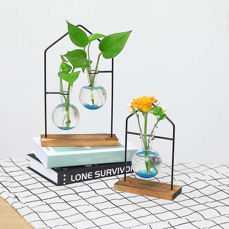 Desktop Plant Propagation Stations,glass Transparent Home Vase 1