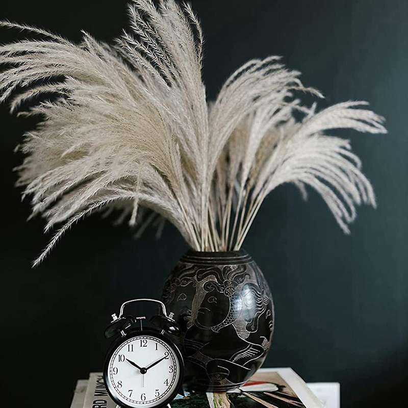 55pcs Pampas Grass Bouquet,natural Dried Pampas Grass
