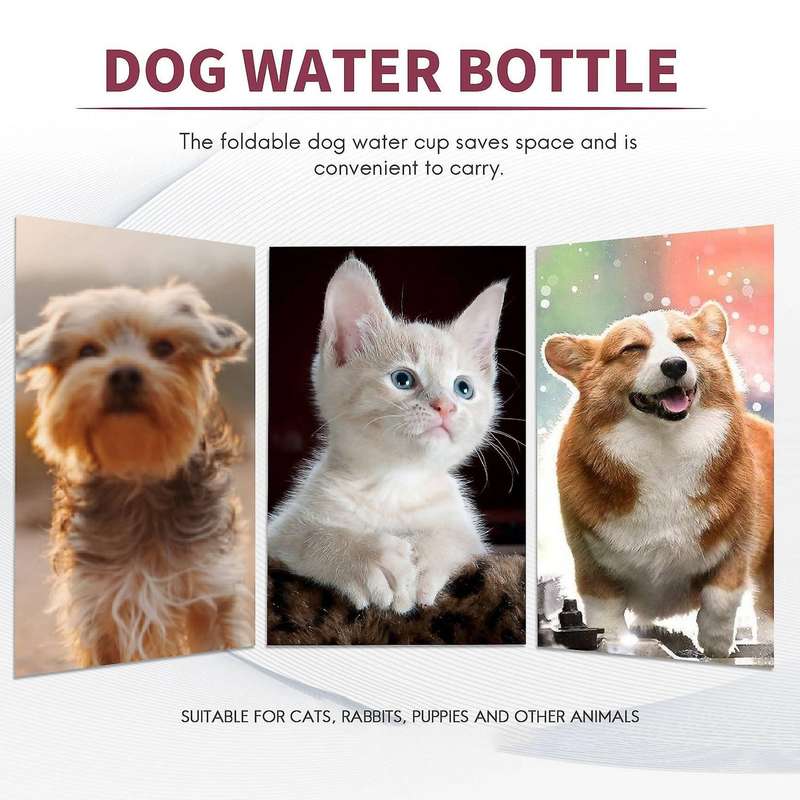 Dog Water Bottle, Dog Travel Water Bottle, Pet Water Bottle for Dog