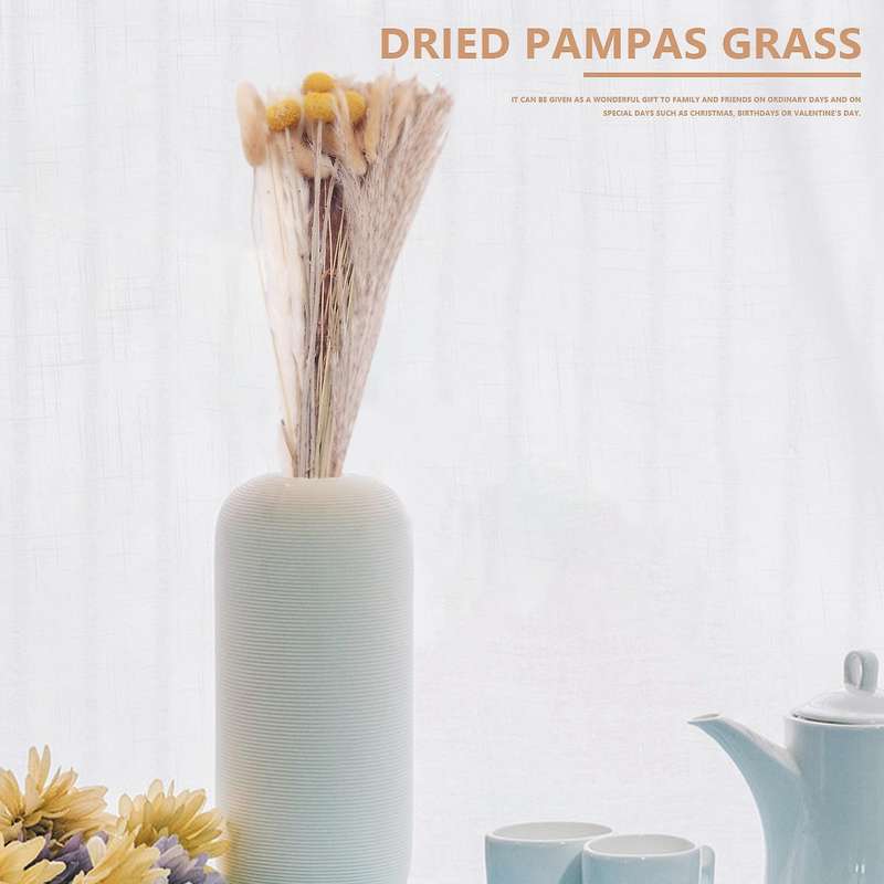 Pampas Grass Dried Dried Flowers Pampas Grass Decoration Natural