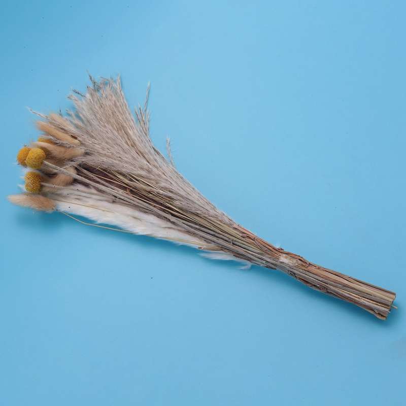 Pampas Grass Dried Dried Flowers Pampas Grass Decoration Natural