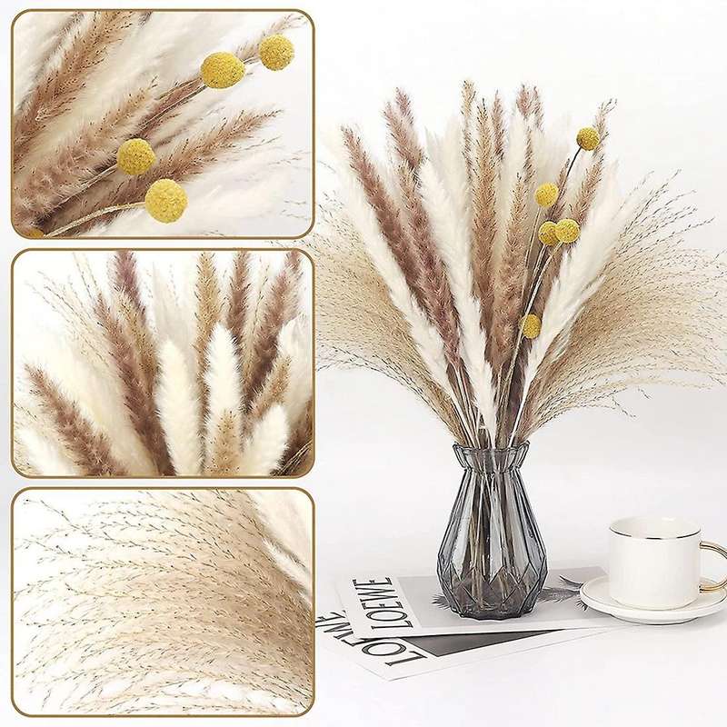 65pcs Dried Fluffy Pampas Grass Decor Tall,natural Pompous