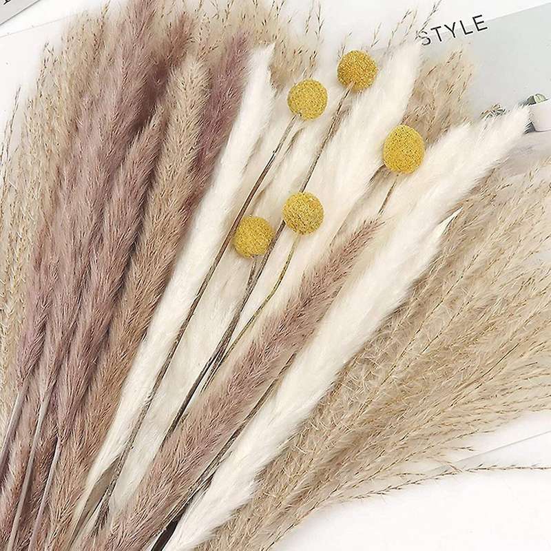 65pcs Dried Fluffy Pampas Grass Decor Tall,natural Pompous