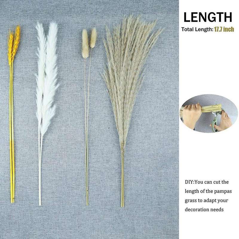 70 Pcs Pampas Grass Decor Diy Natural Dried Pampas Grass, Reed Grass