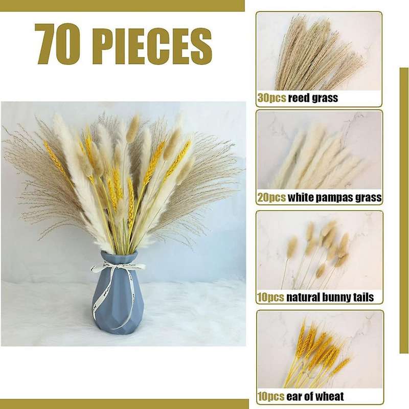 70 Pcs Pampas Grass Decor Diy Natural Dried Pampas Grass, Reed Grass