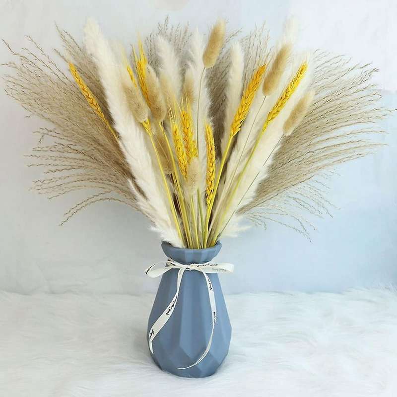 70 Pcs Pampas Grass Decor Diy Natural Dried Pampas Grass, Reed Grass