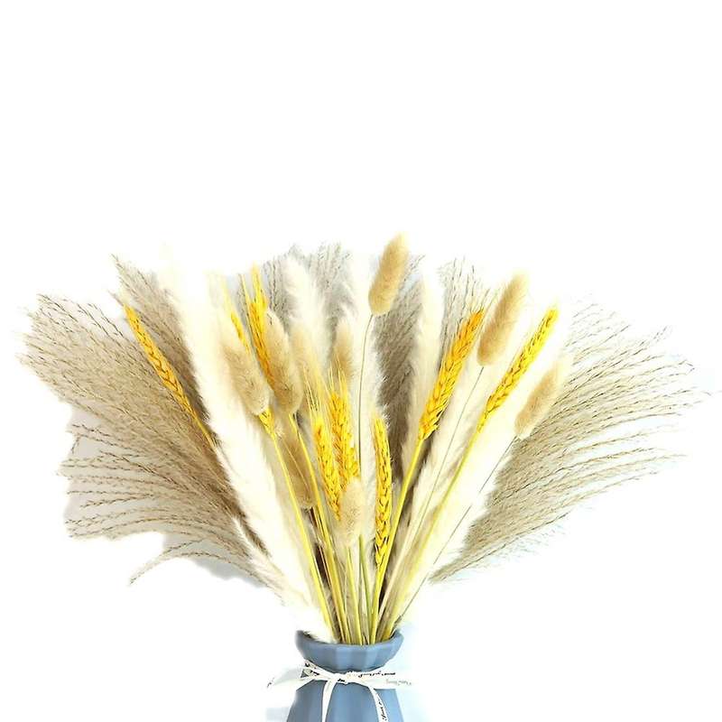 70 Pcs Pampas Grass Decor Diy Natural Dried Pampas Grass, Reed Grass