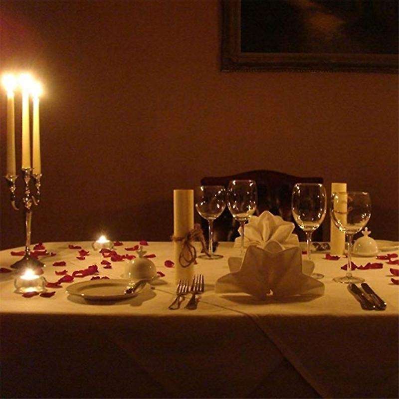3000 Pcs Red Flower Artificial Rose Petals for Wedding, Party, Home