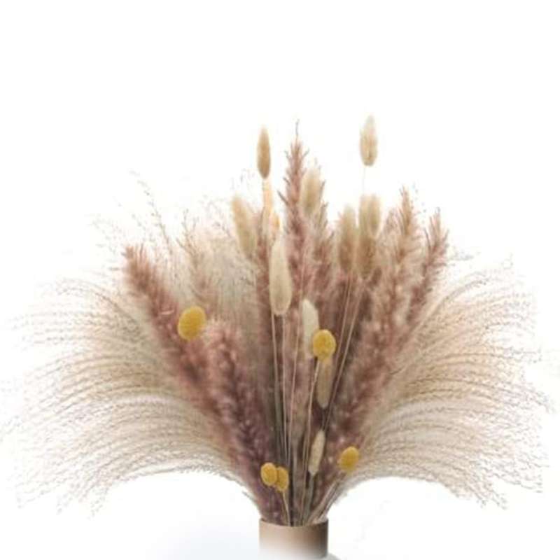 65 Pcs Natural Pampas Grass Bouquet,dried Fluffy Pampas