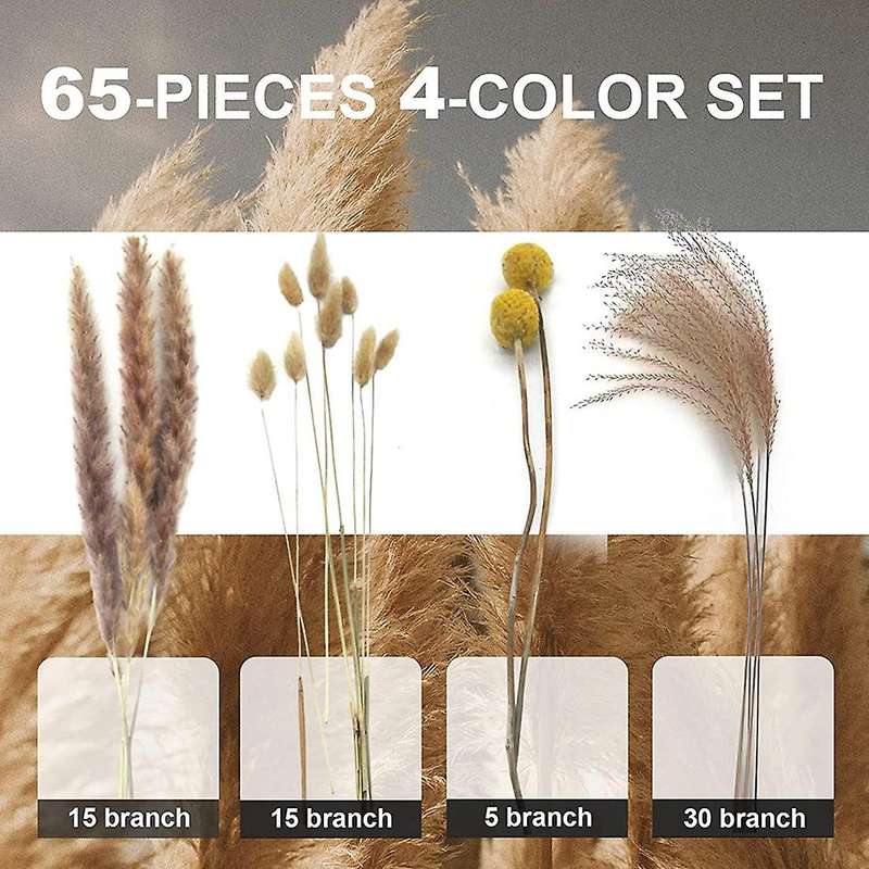 65 Pcs Natural Pampas Grass Bouquet,dried Fluffy Pampas