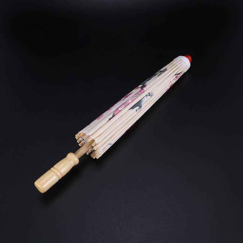 Art Umbrella Chinese Silk Cloth Umbrella Classical Style Oil Paper
