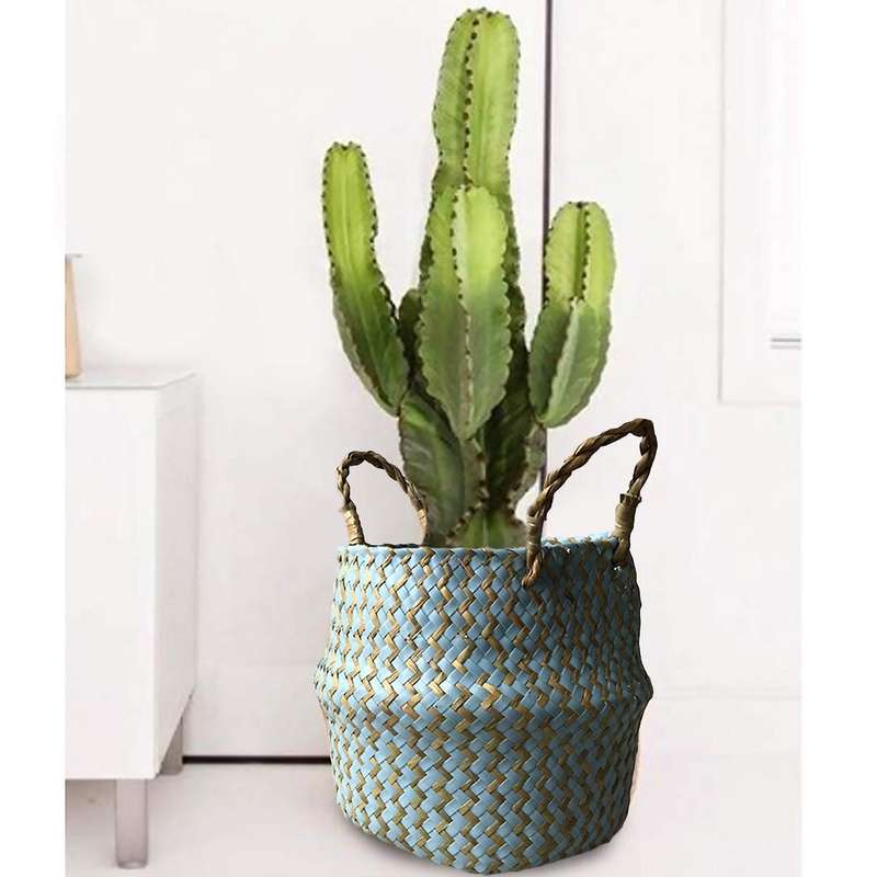 Natural Seagrass Woven Storage Basket for Home Decorations - Blue