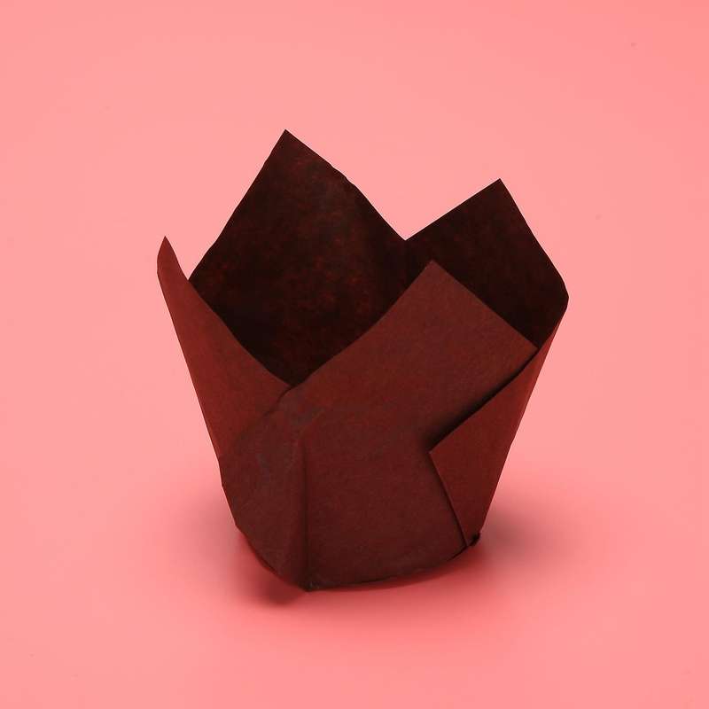 200 Pcs Cupcake Muffin Liners Paper Baking Cups Cupcake Wrappers
