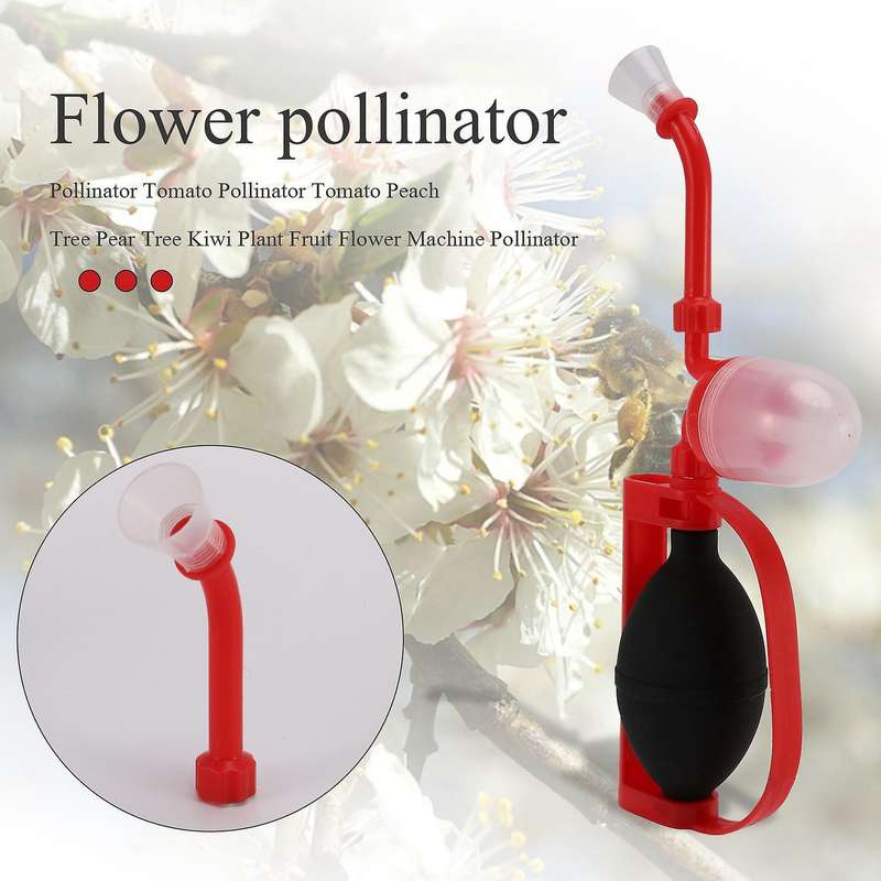 Pollinator Tomato Tree Pear Tree Kiwi Plant Fruit Flower Machine