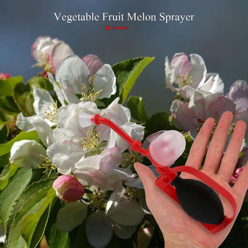 Pollinator Tomato Tree Pear Tree Kiwi Plant Fruit Flower Machine