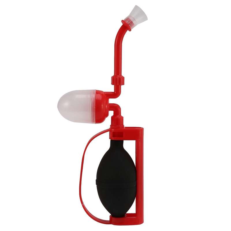 Pollinator Tomato Tree Pear Tree Kiwi Plant Fruit Flower Machine
