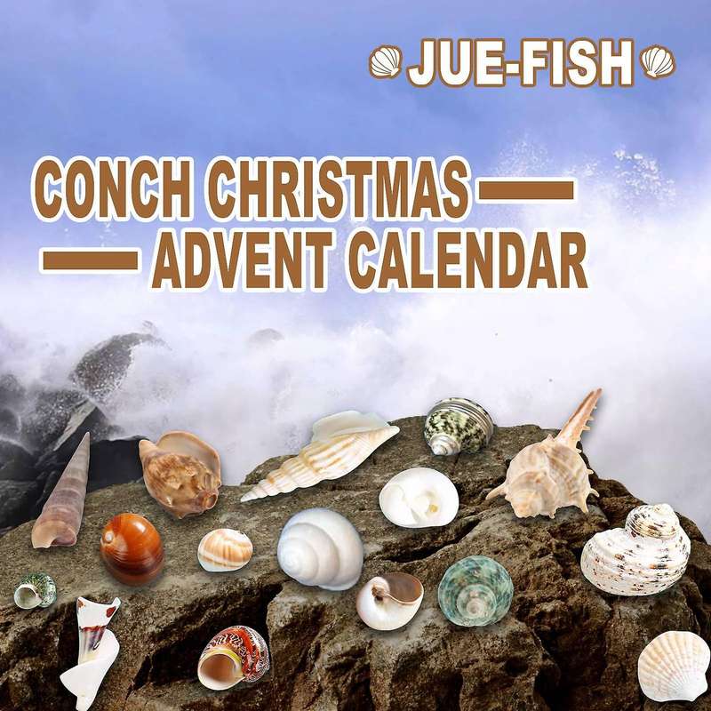 Conch Blind Box 24pc Christmas Advent Calendar Conch Gift Box Set