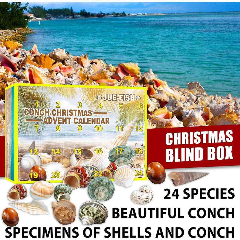 Conch Blind Box 24pc Christmas Advent Calendar Conch Gift Box Set