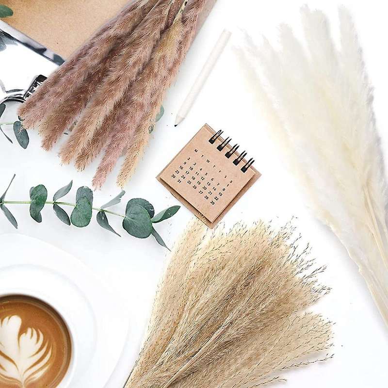 Natural Dried Pampas Grass, 60 Pcs Pampas Grass for Flower Home Decor
