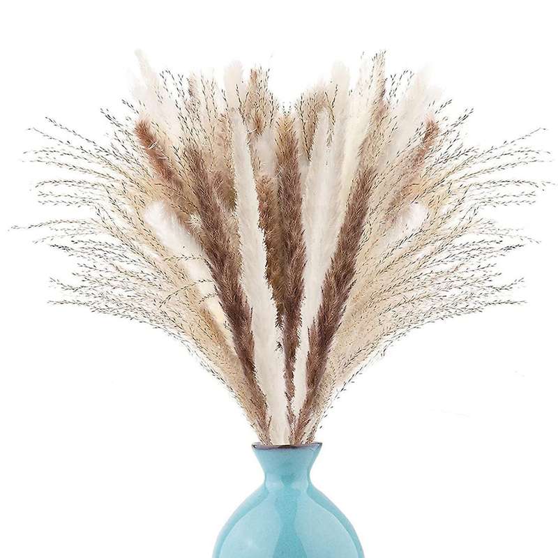 Natural Dried Pampas Grass, 60 Pcs Pampas Grass for Flower Home Decor