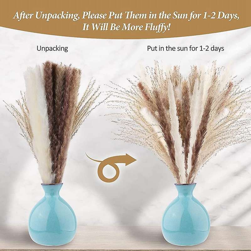 Natural Dried Pampas Grass, 60 Pcs Pampas Grass for Flower Home Decor