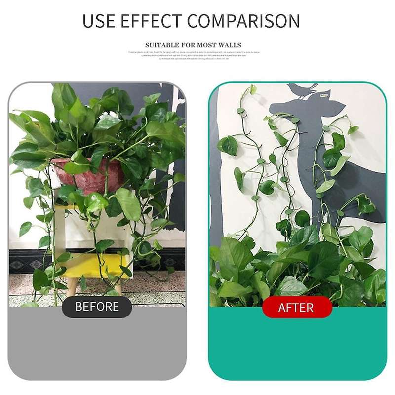100pcs Invisible Wall Rattan Clamp Plant Climbing Wall Fixator Vine