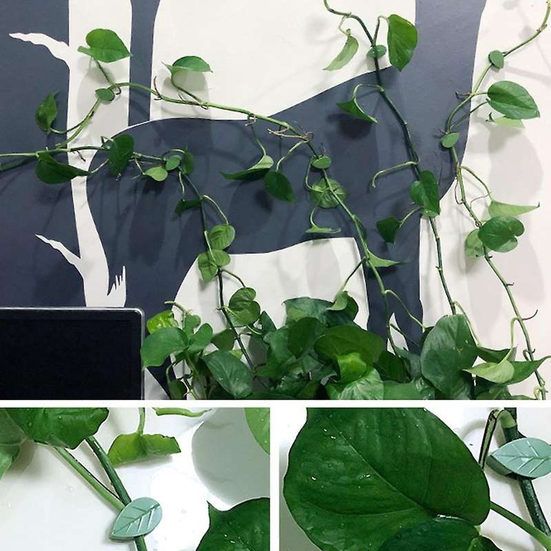 100pcs Invisible Wall Rattan Clamp Plant Climbing Wall Fixator Vine