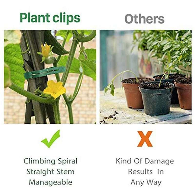Plant Support Clip Ties Gardening Gentle Plant & Flower Clamps