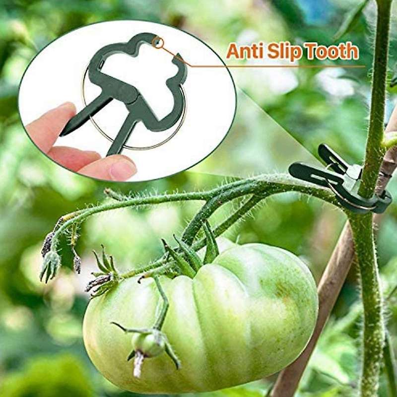 Plant Support Clip Ties Gardening Gentle Plant & Flower Clamps