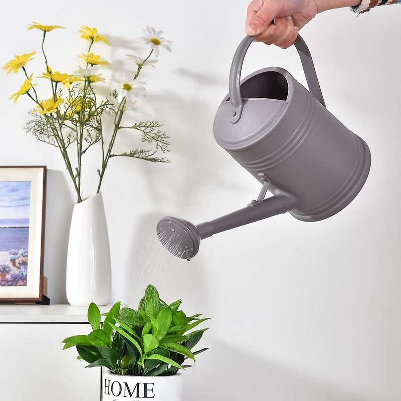Watering Can for Indoor Plants, Flower Watering Can Outdoor,gray