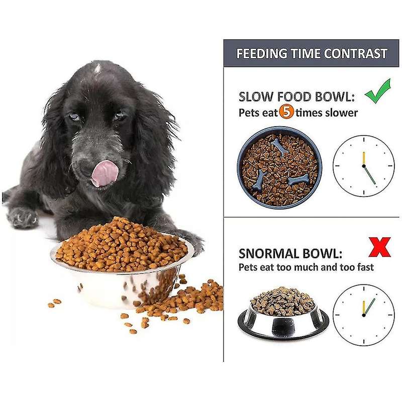 Dogs Feeder Bowl Pet Bowls with Steel Water Bowl for Puppy, Blue