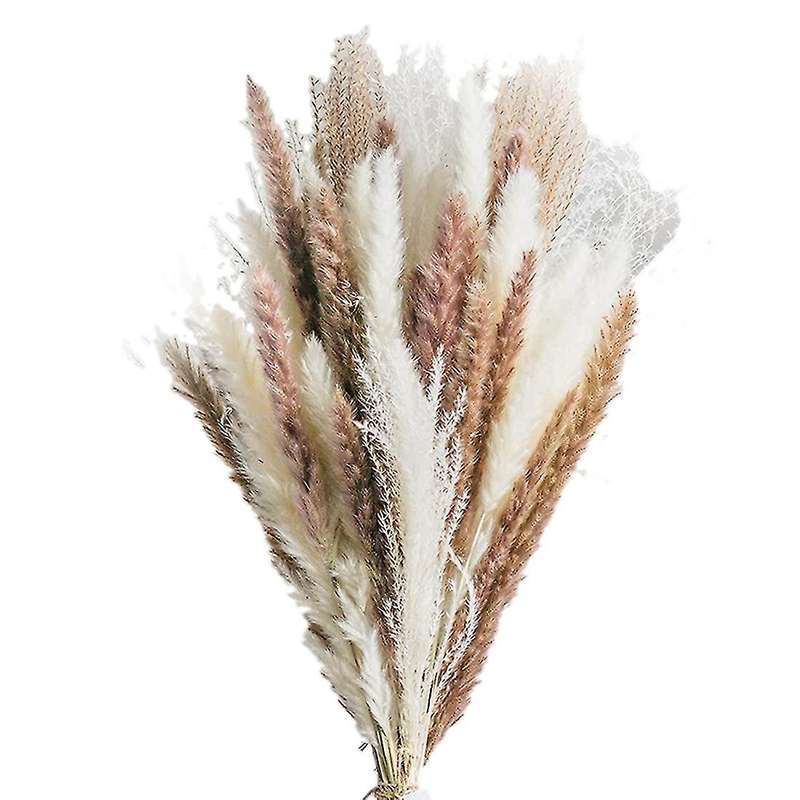 Natural Dried Pampas Grass Decor 50 Pcs for Home Decor, Party Decor