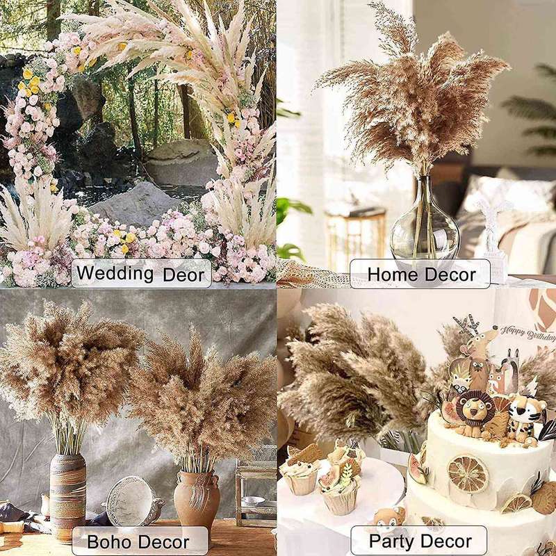 30 Stems Dried Pampas Grass,17 Inch Pampas Grass Flowers Dried Plants